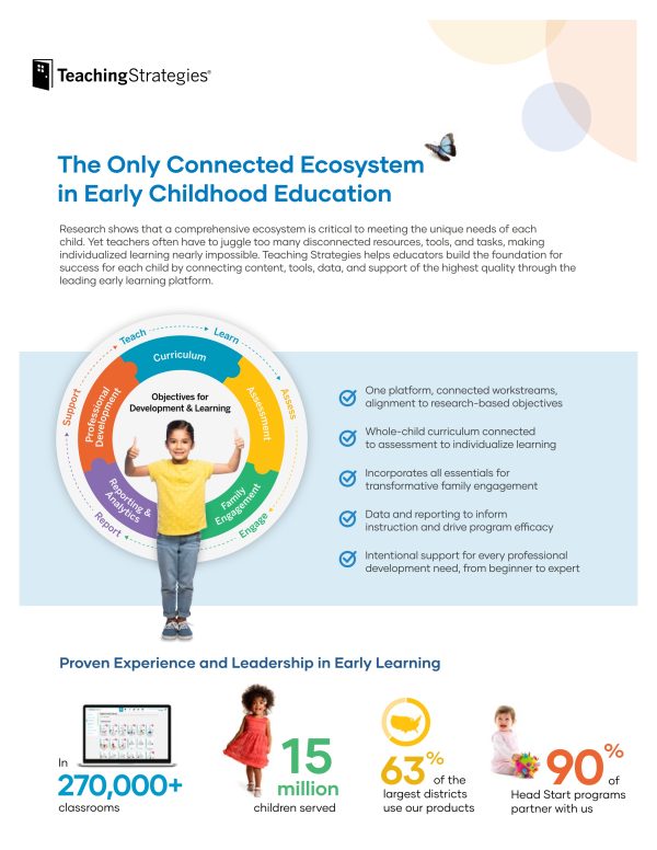TEACHING STRATEGIES -  Ecosistema